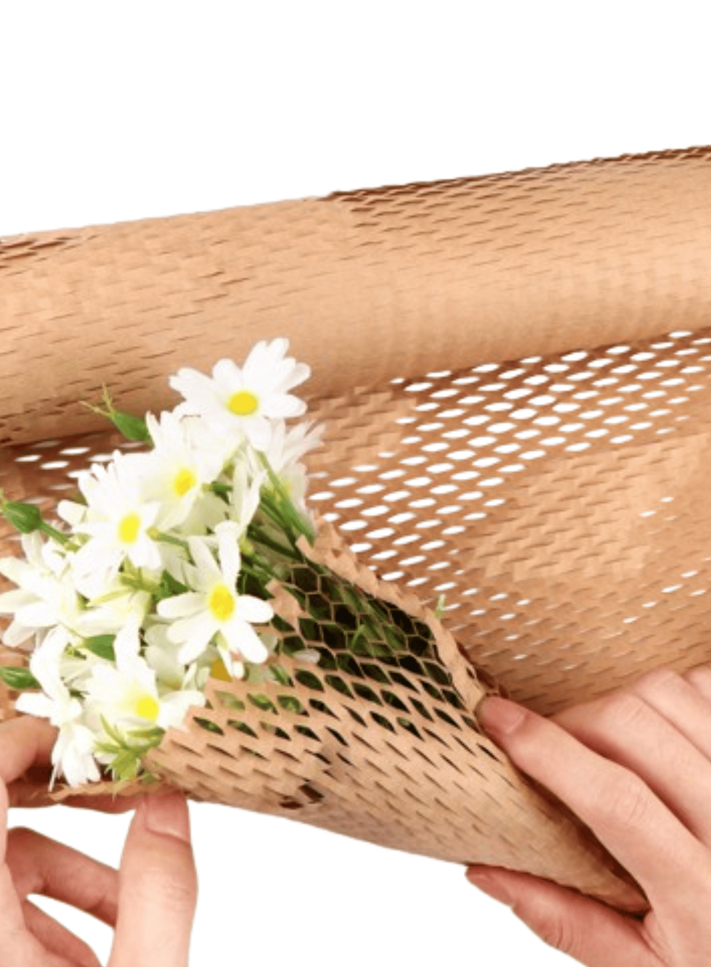 Papel Panal | Eco papel - x 10 metros
